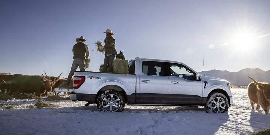 People working in the bed of a Ford F-150 in the snowy outdoors