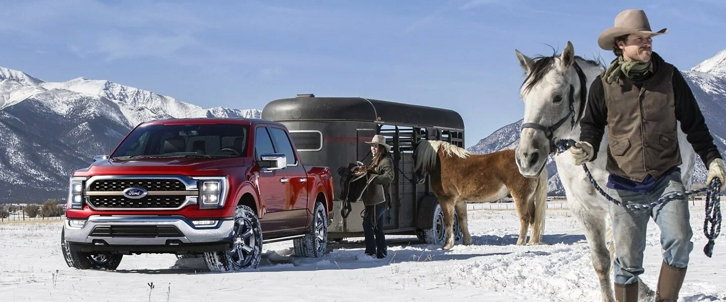 Ford F-150 in snowy exterior towing a trailer carrying horses
